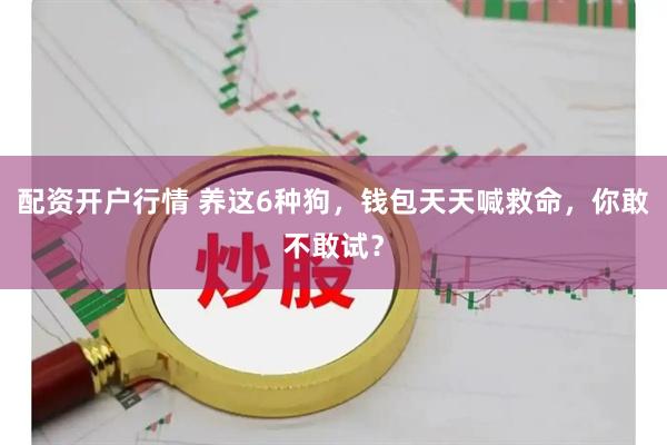 配资开户行情 养这6种狗，钱包天天喊救命，你敢不敢试？
