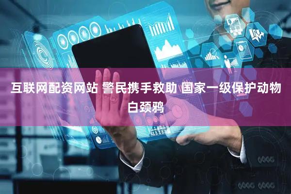 互联网配资网站 警民携手救助 国家一级保护动物白颈鸦