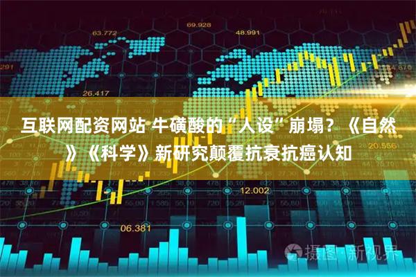 互联网配资网站 牛磺酸的“人设”崩塌？《自然》《科学》新研究颠覆抗衰抗癌认知